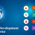 wordpress development
