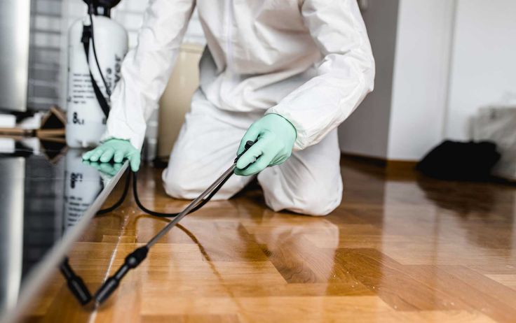 pest control service winnipeg