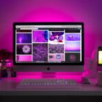 craft cms developer