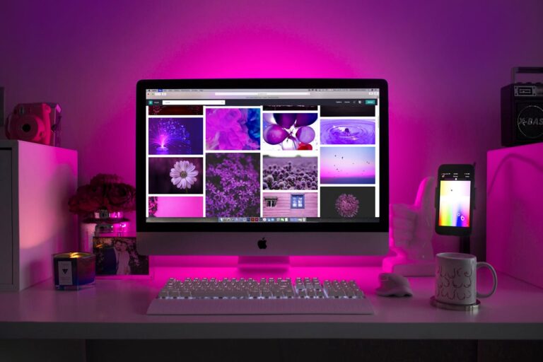 craft cms developer