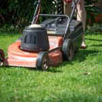 lawn care in Saskatoon