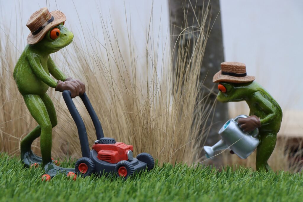 lawn care in Regina