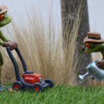 lawn care in Regina