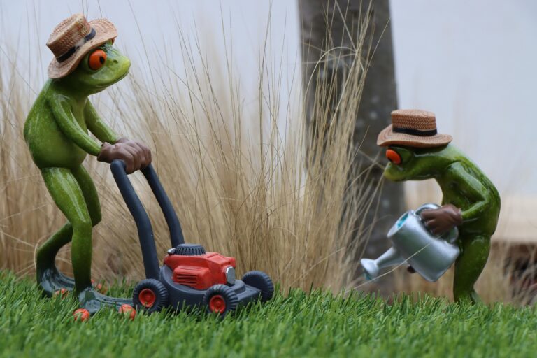 lawn care in Regina