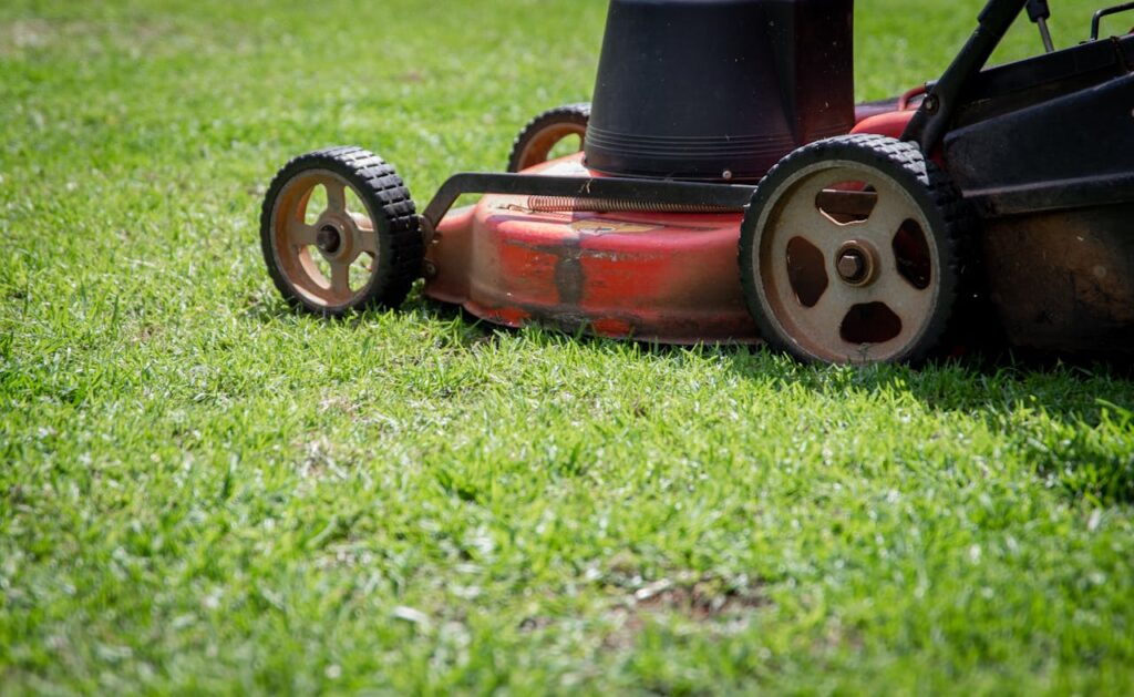 weed control in Regina